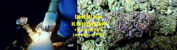 тгк Снежногорск